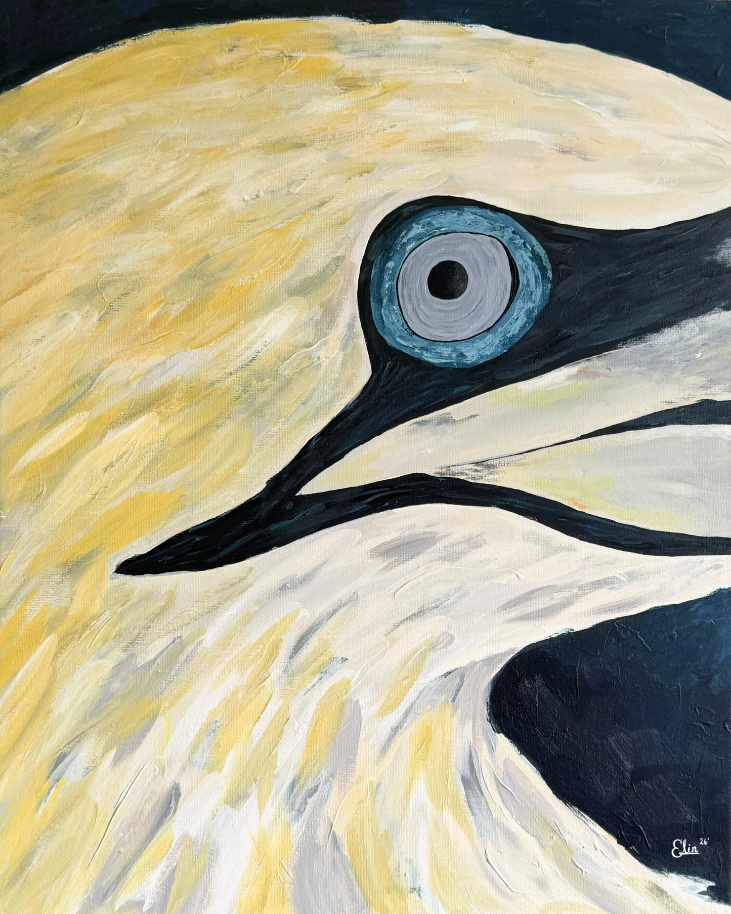 40x50 | Vøkur sjón