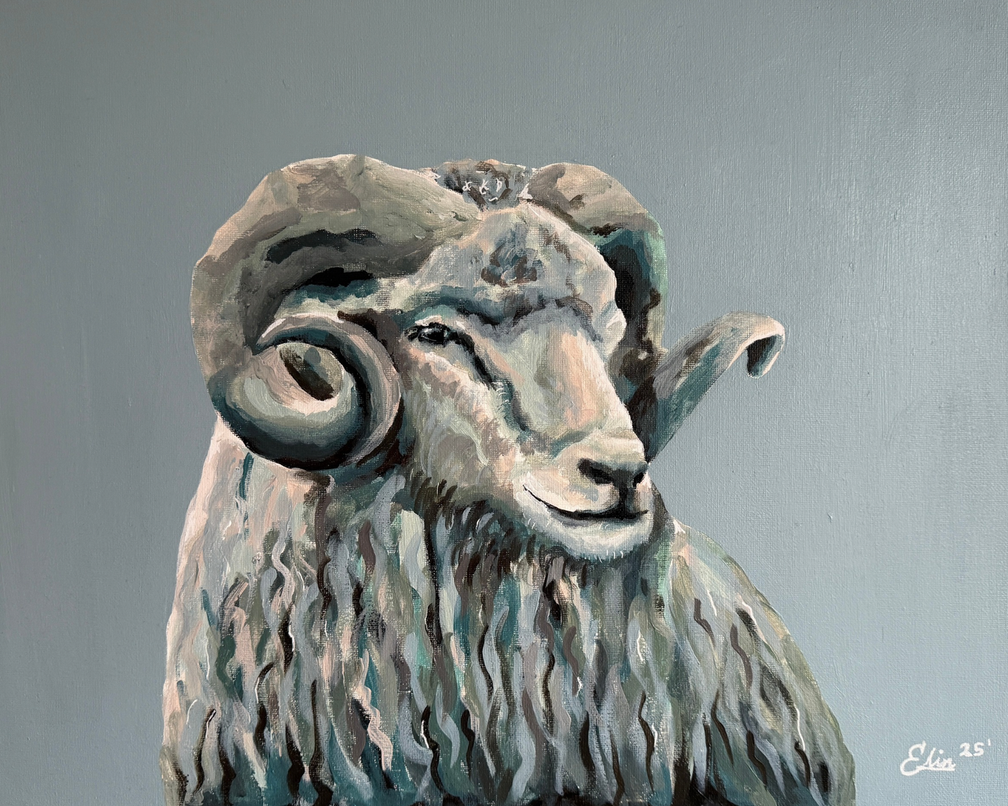 50x40 | Veðrur
