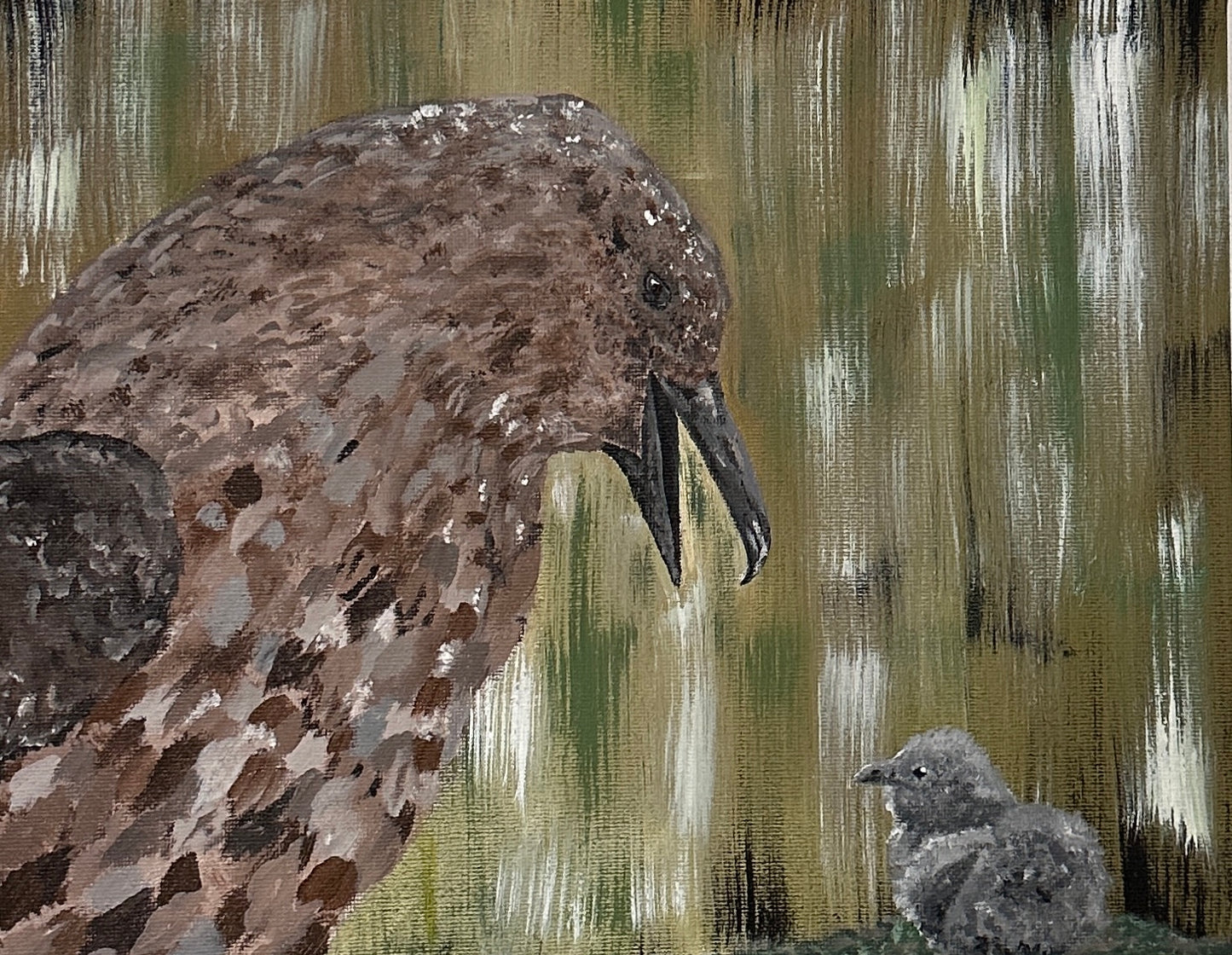 Stercorarius skua (30x40)