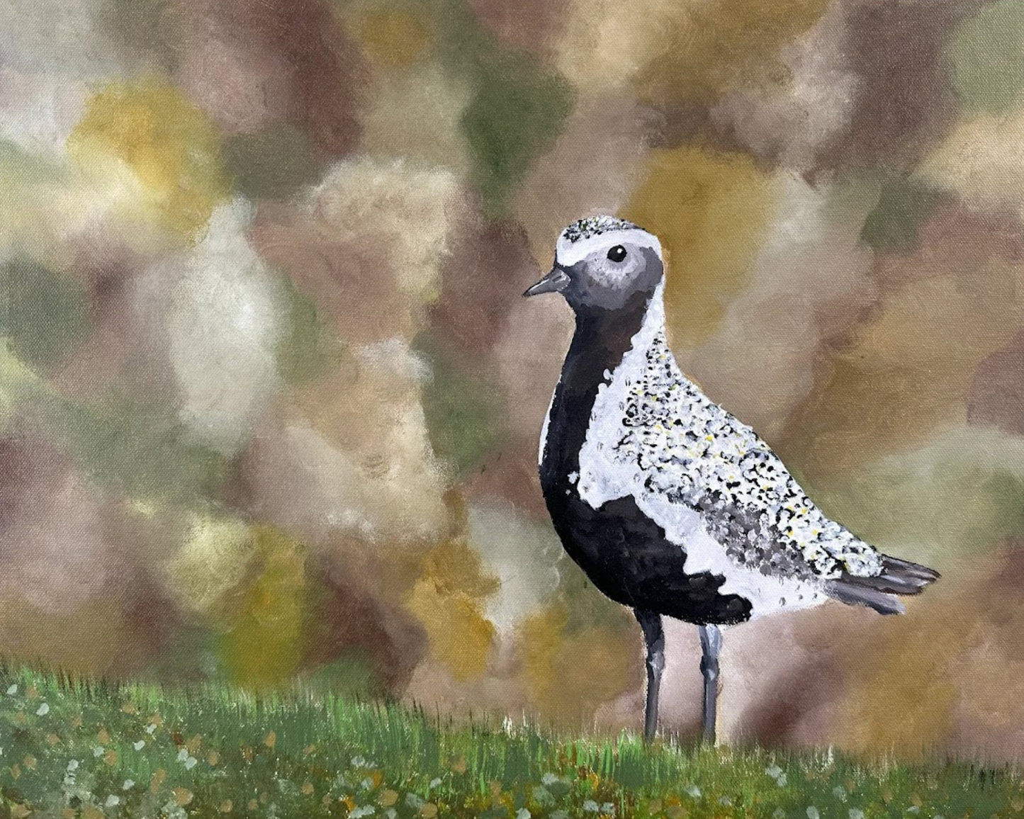 50x40 | Lógv