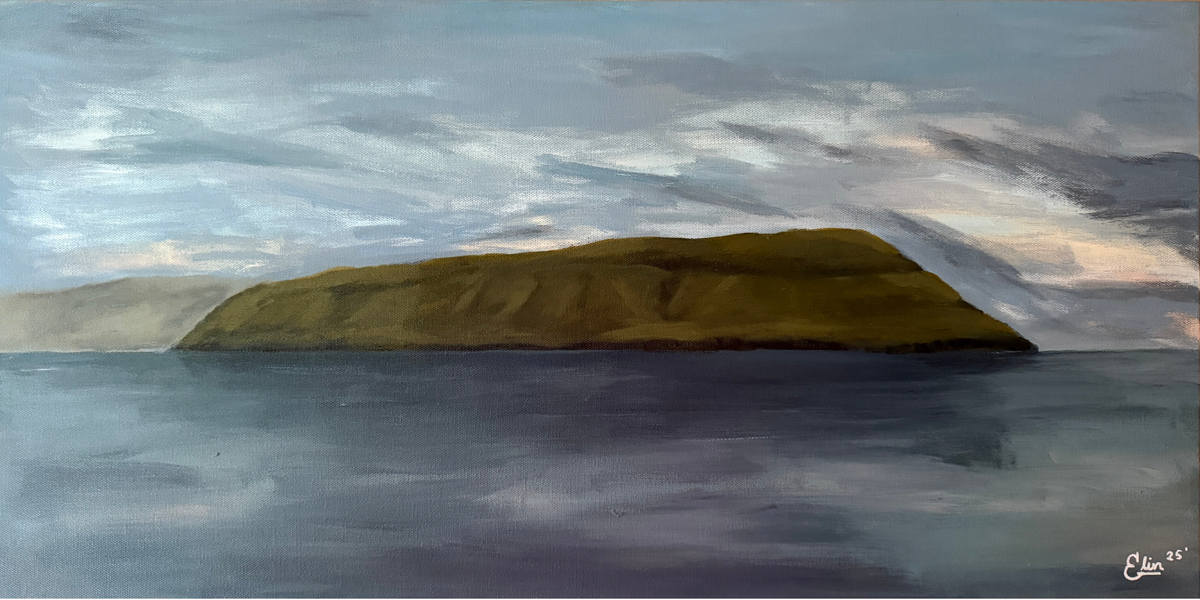 70x35 | Hestur