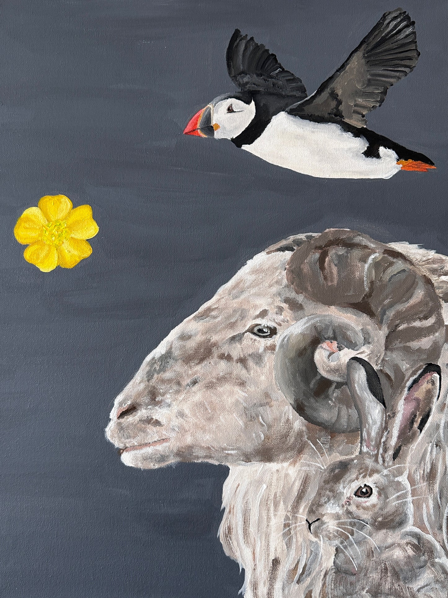 40x50 | Føroyar