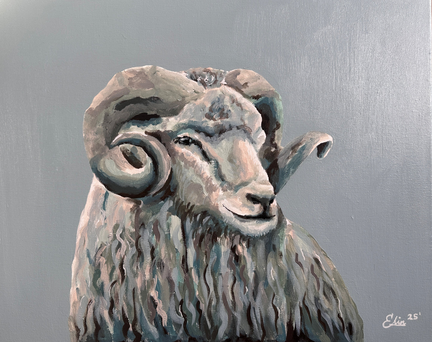 50x40 | Veðrur