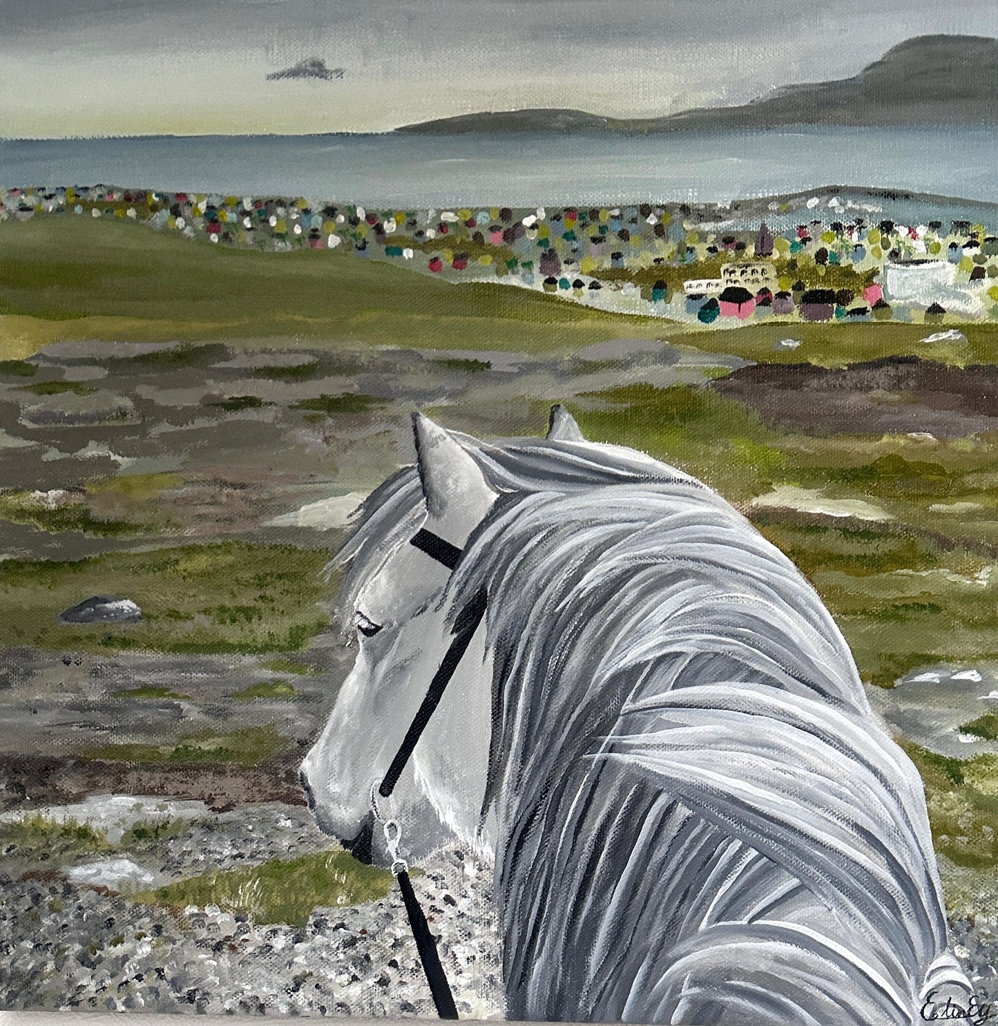 40x40 | Rossagøtan á rossabakið