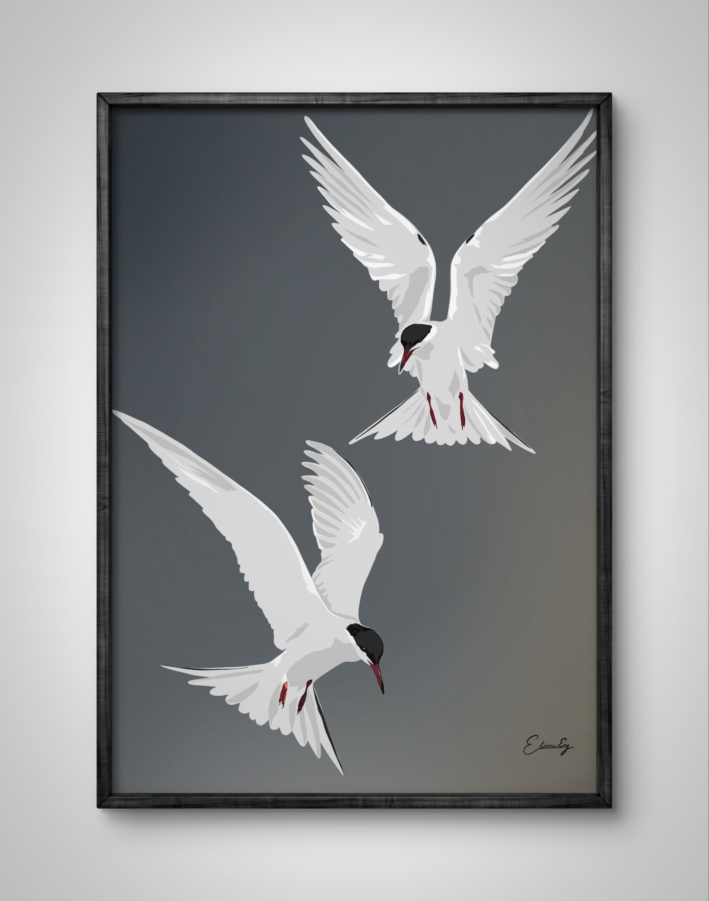 A4 | Ternir