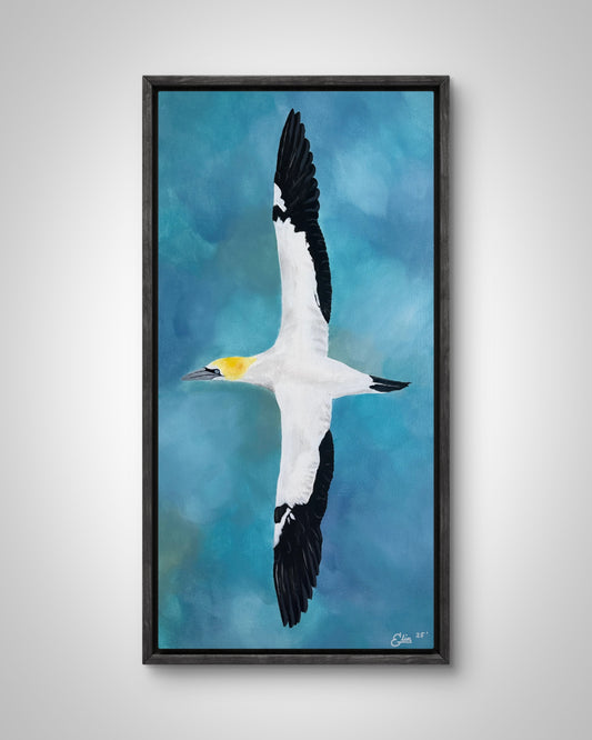35x70 | Súla