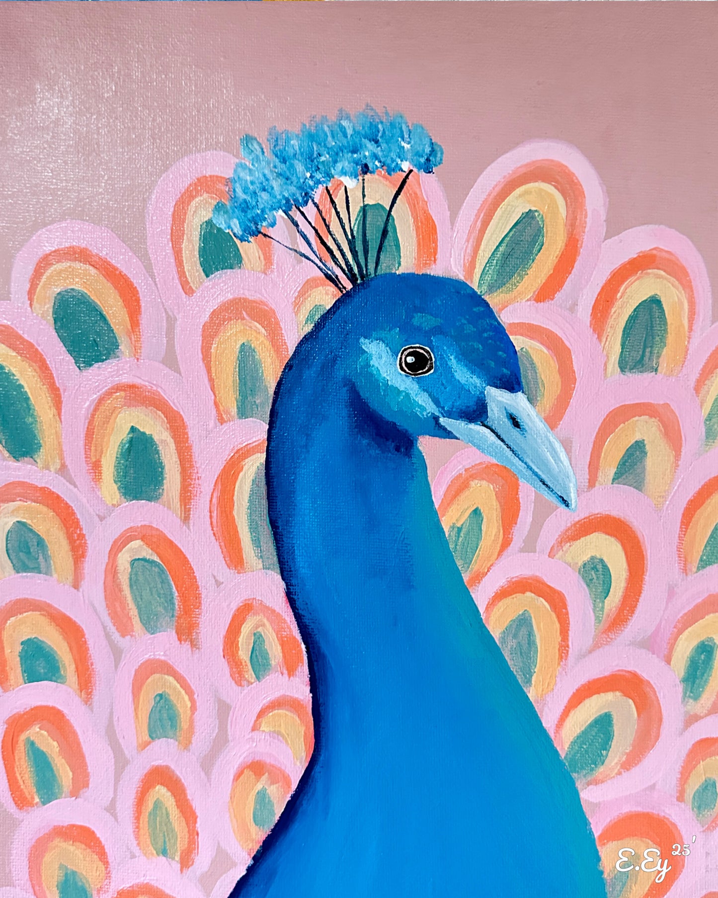 24x30 | Páfuglur