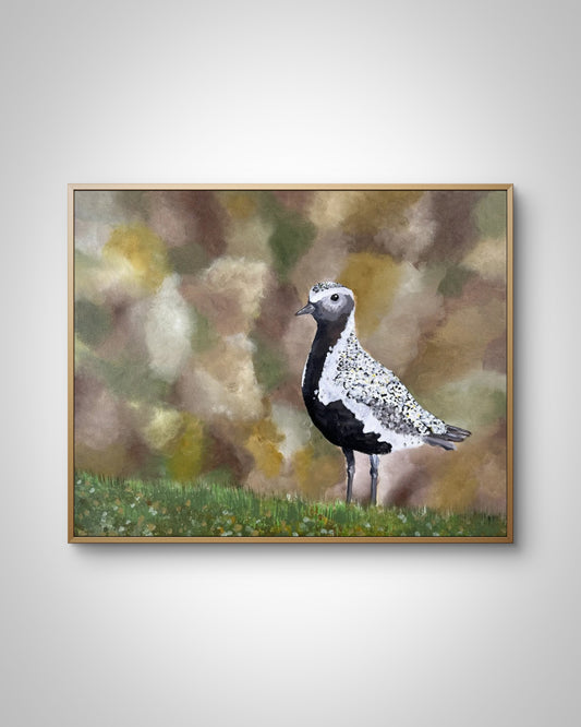 50x40 | Lógv