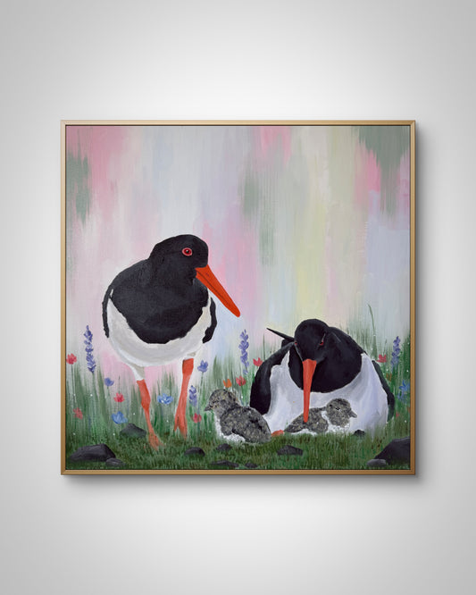 50x50 | Um várið
