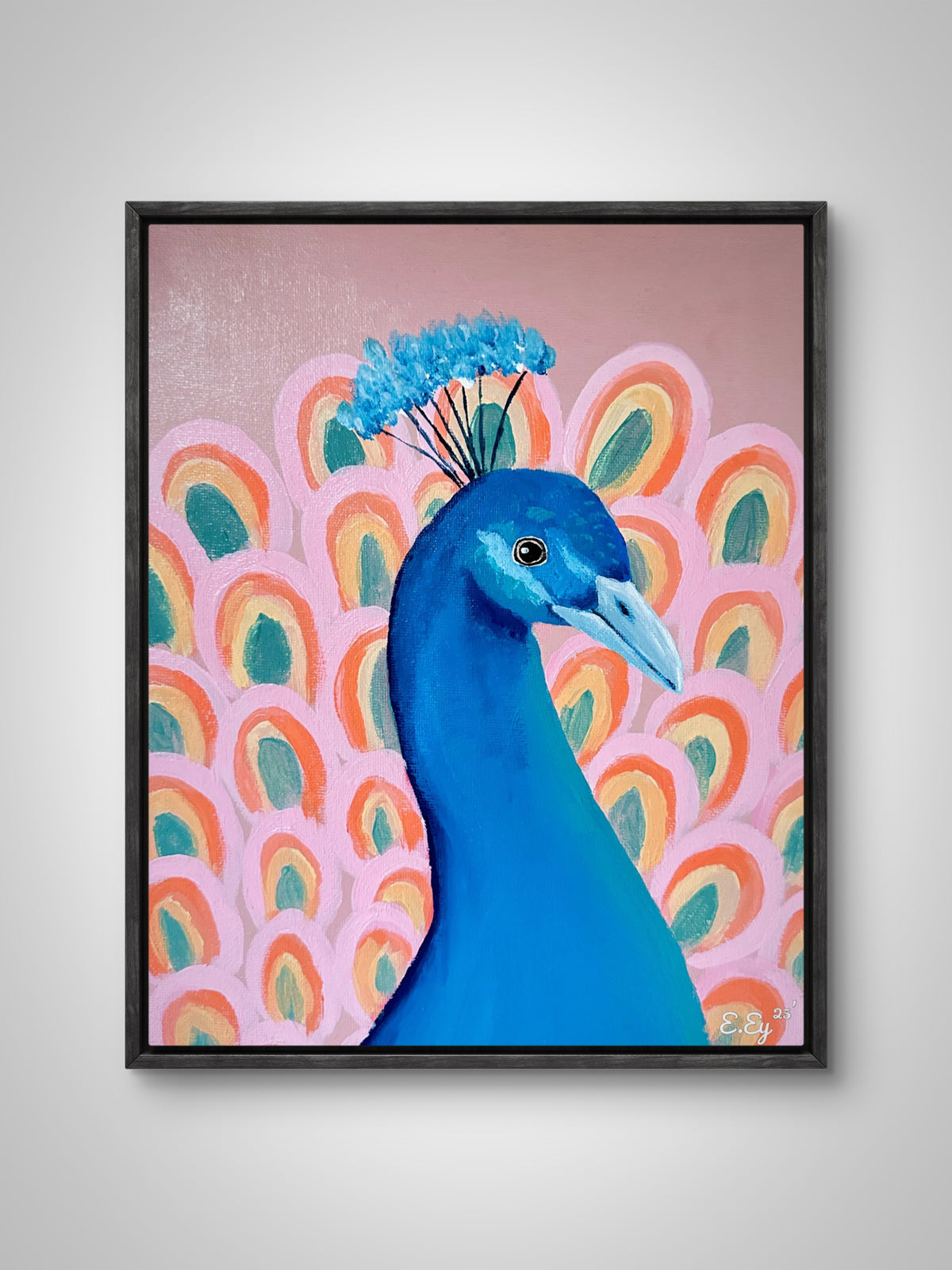 24x30 | Páfuglur