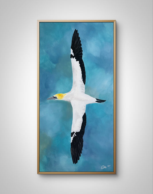 35x70 | Súla