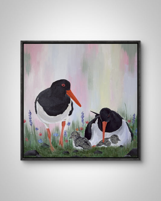 50x50 | Um várið